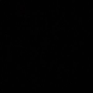 Meet your Posher, Yaimis